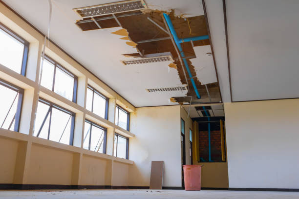 Best Local water damage restoration  in Cottonde, AL