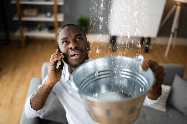Best Water damage restoration services  in Cottonde, AL