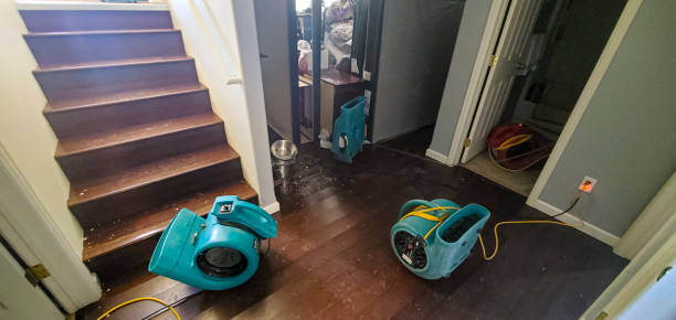 Best Commercial water damage restoration  in Cottonde, AL