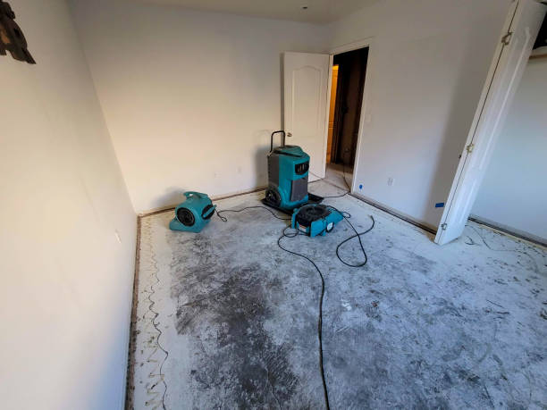 Water damage restoration mold remediation in AL