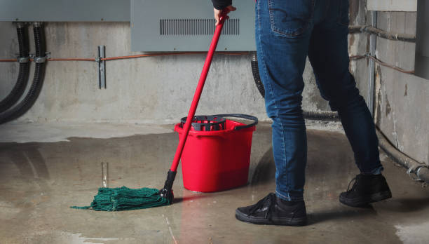 Best Water damage restoration near me  in Cottonde, AL