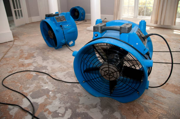Best Water damage contractors near me  in Cottonde, AL