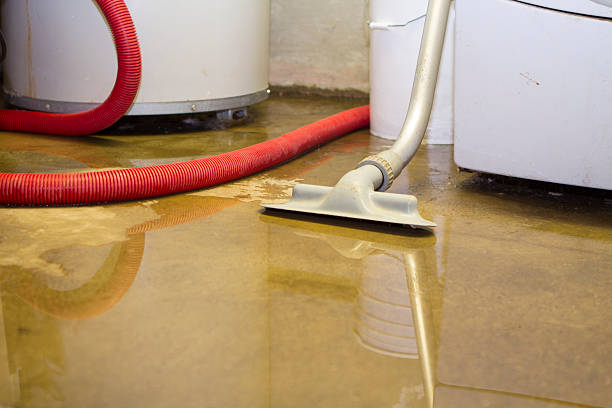 Professional Water damage restoration in AL