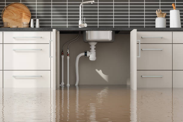 Best Residential water damage restoration  in Cottonde, AL