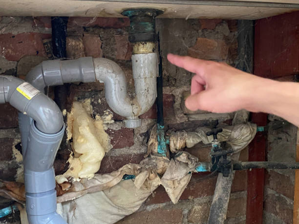 Best Fire Damage Restoration  in Cottonde, AL